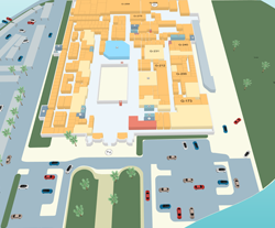 International Medical Center